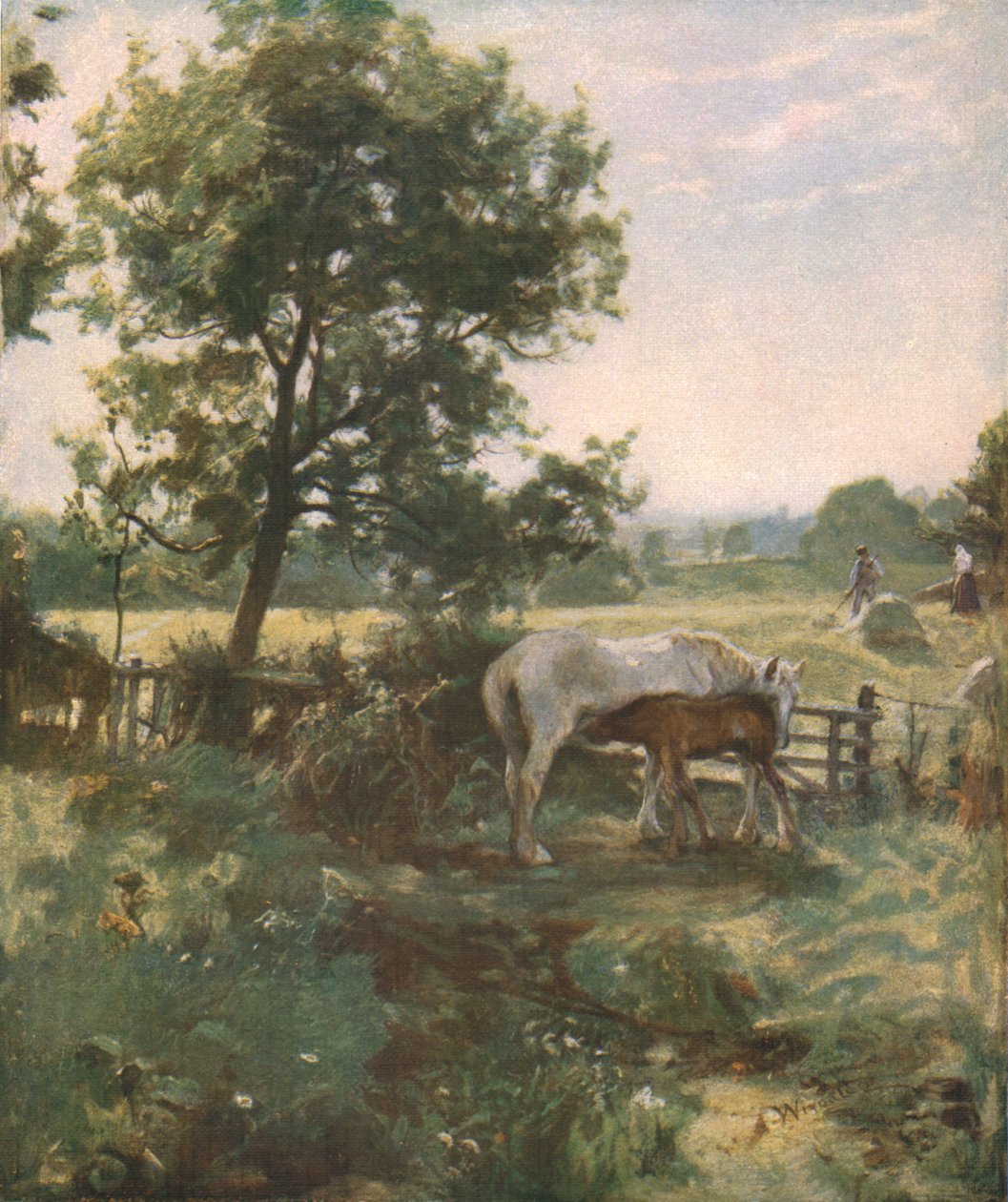 Nyáron, 19. század vége – 20. század eleje, 1930 körül. alkotó: James Lawton Wingate