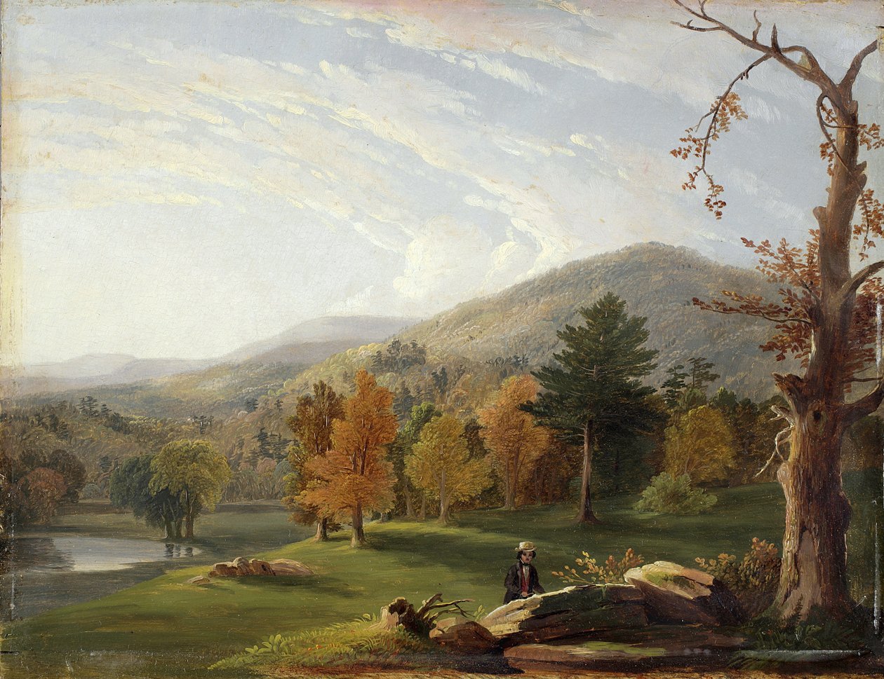 Kilátás a Helderbergek között, a távolban a Catskills-hegység, 1850 alkotó: James McDougal Hart