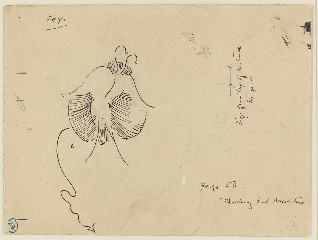 Pillangó (recto); Pillangó töredéke (verso) alkotó: James McNeill Whistler