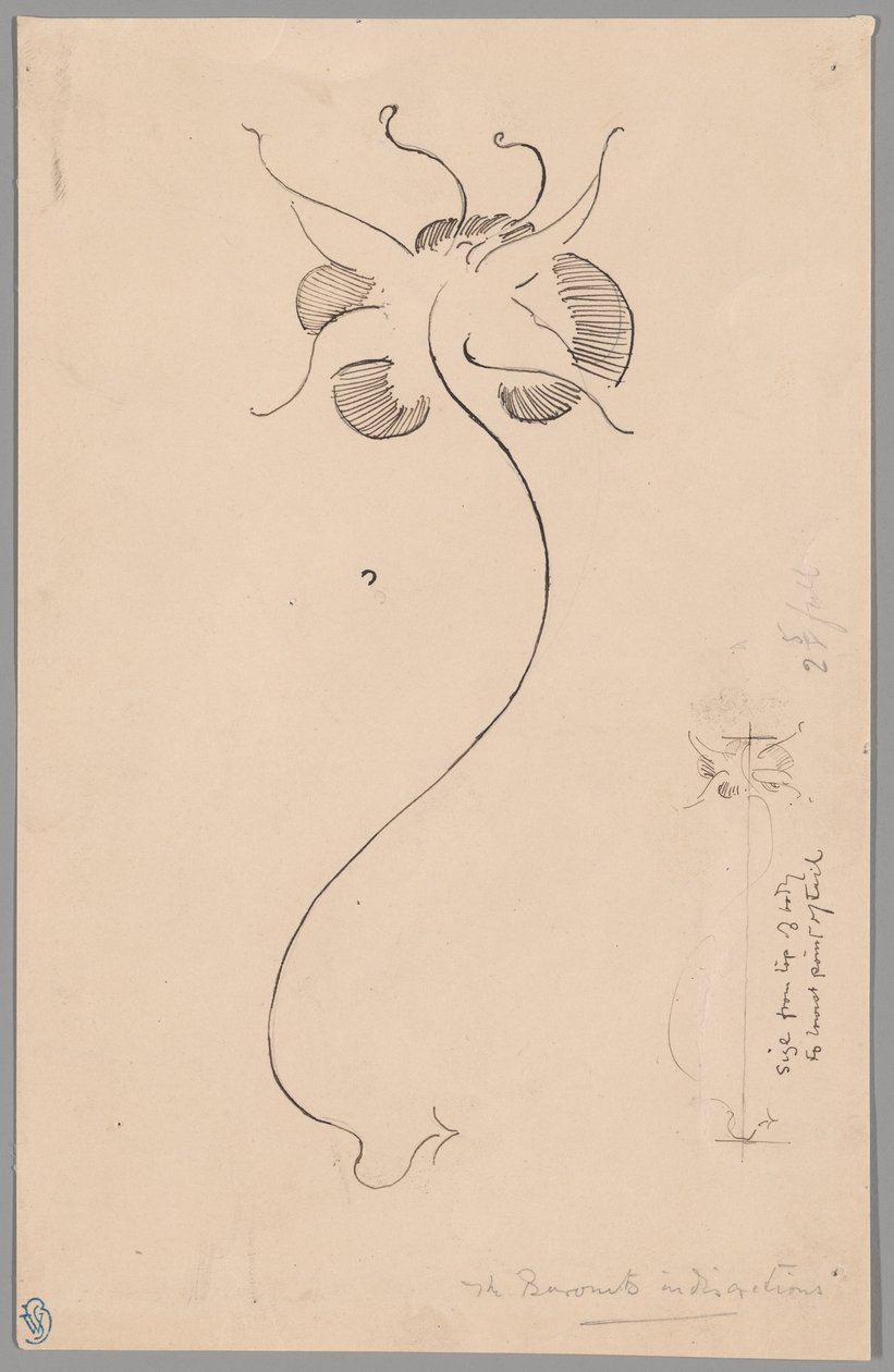 Pillangó (recto); Pillangó tanulmány (verso) alkotó: James McNeill Whistler