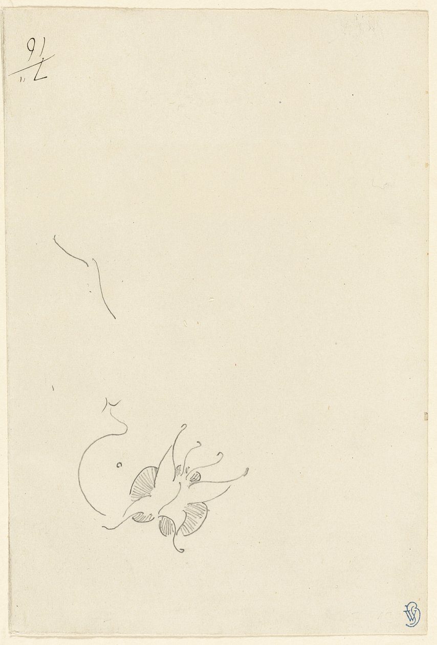 Pillangó alkotó: James Abbott McNeill Whistler