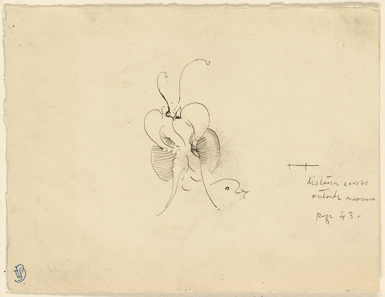 Pillangó alkotó: James McNeill Whistler