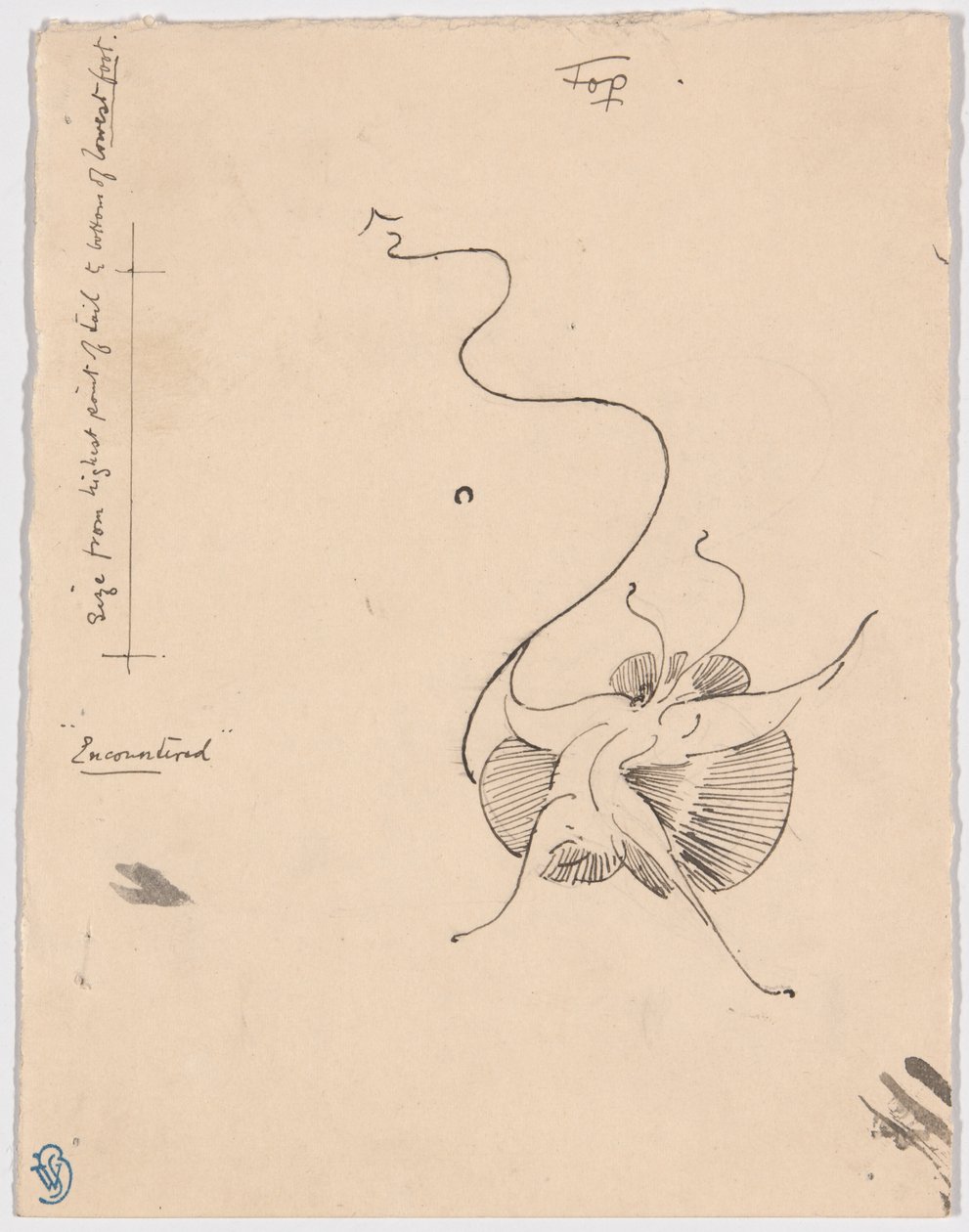 Pillangó "Találkozás" (recto); Vázlat a farokrészhez (verso) alkotó: James McNeill Whistler