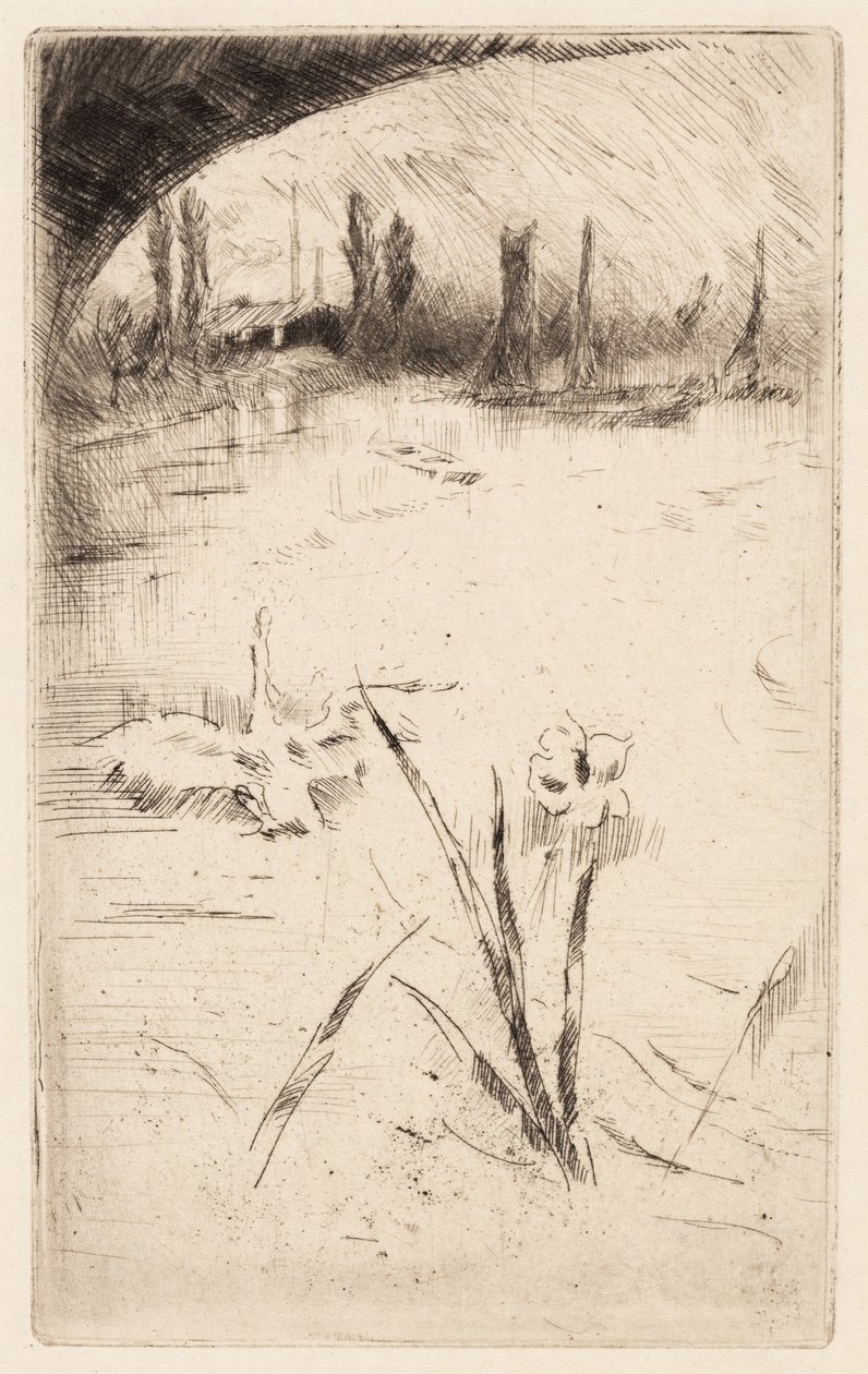 Vázlat Cecil Lawson "Hattyú és írisz" című műve után. alkotó: James McNeill Whistler