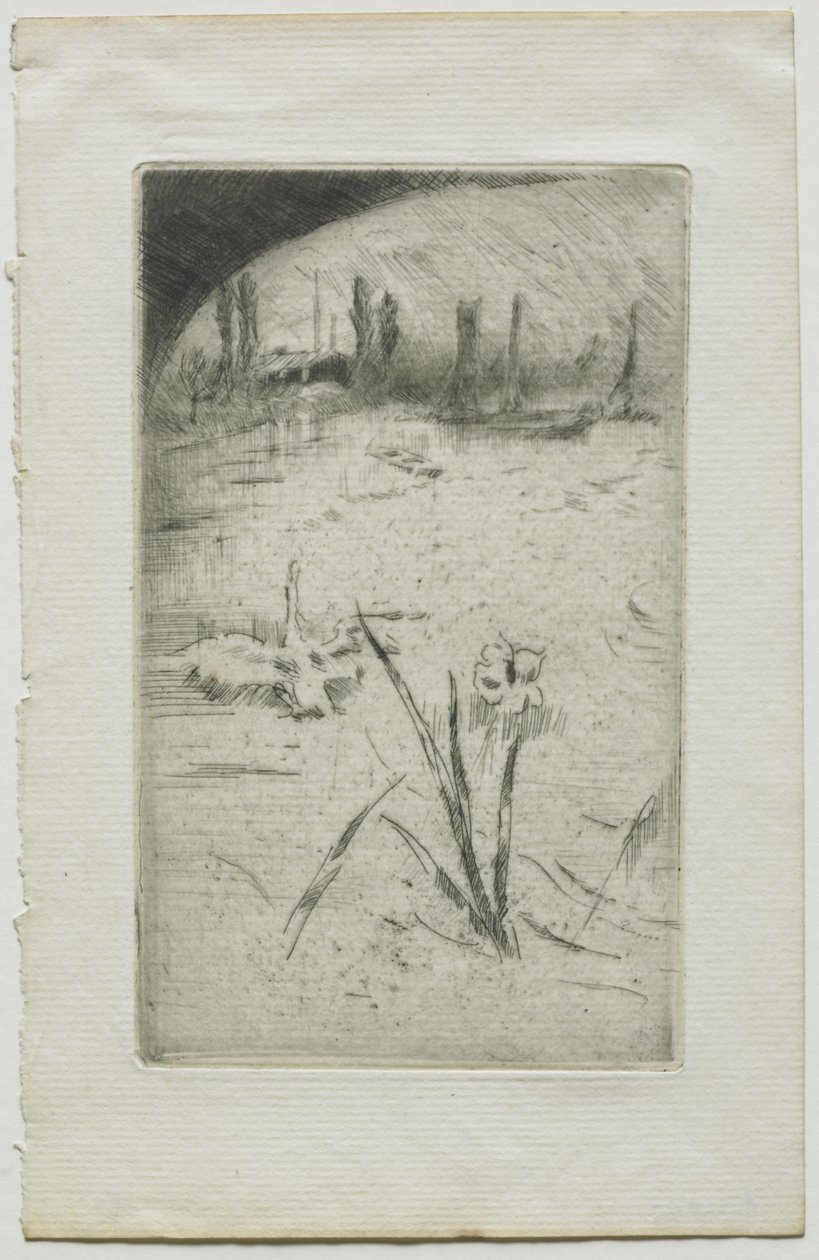 Hattyú és írisz alkotó: James McNeill Whistler