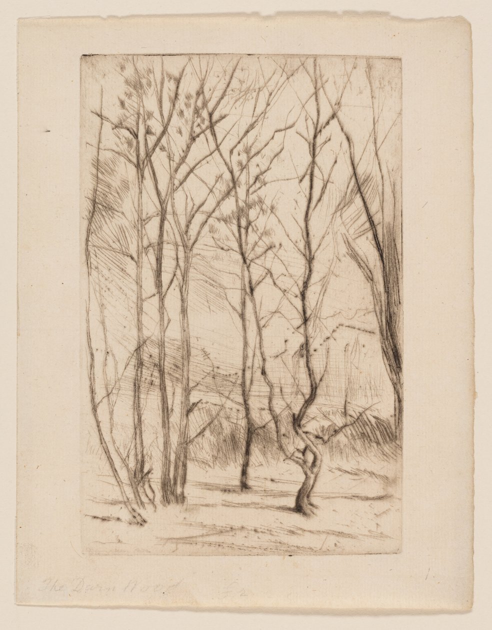 A Dam Wood alkotó: James Abbott McNeill Whistler