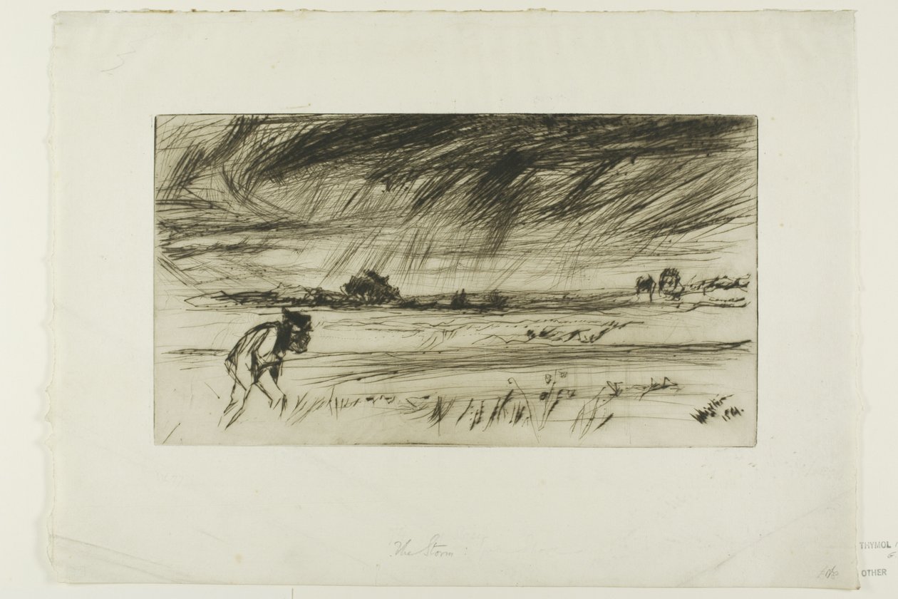 A vihar alkotó: James Abbott McNeill Whistler