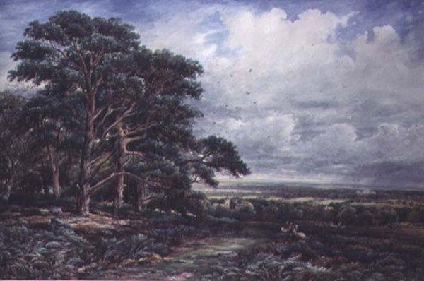 Bradgate Park Leicester közelében, akvarell alkotó: James Orrock