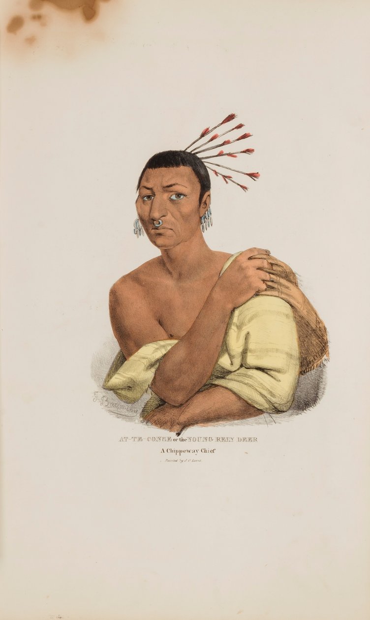AT-TE-CONSE vagy a fiatal szarvas; A Chippeway Chief, a The Aboriginal Portfólióból alkotó: James Otto Lewis
