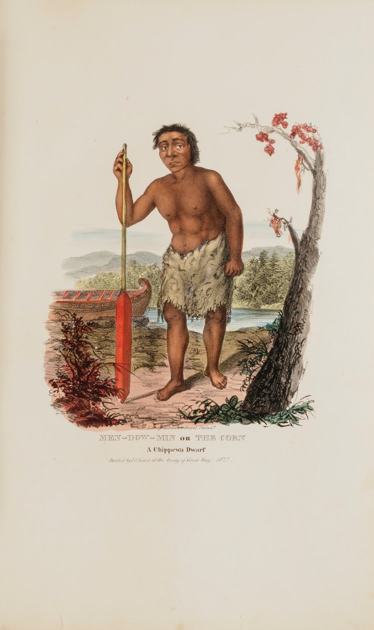 MEN-DOW-MIN vagy a Kukorica; A Chippewa törpe, az Aboriginal Portfólióból alkotó: James Otto Lewis