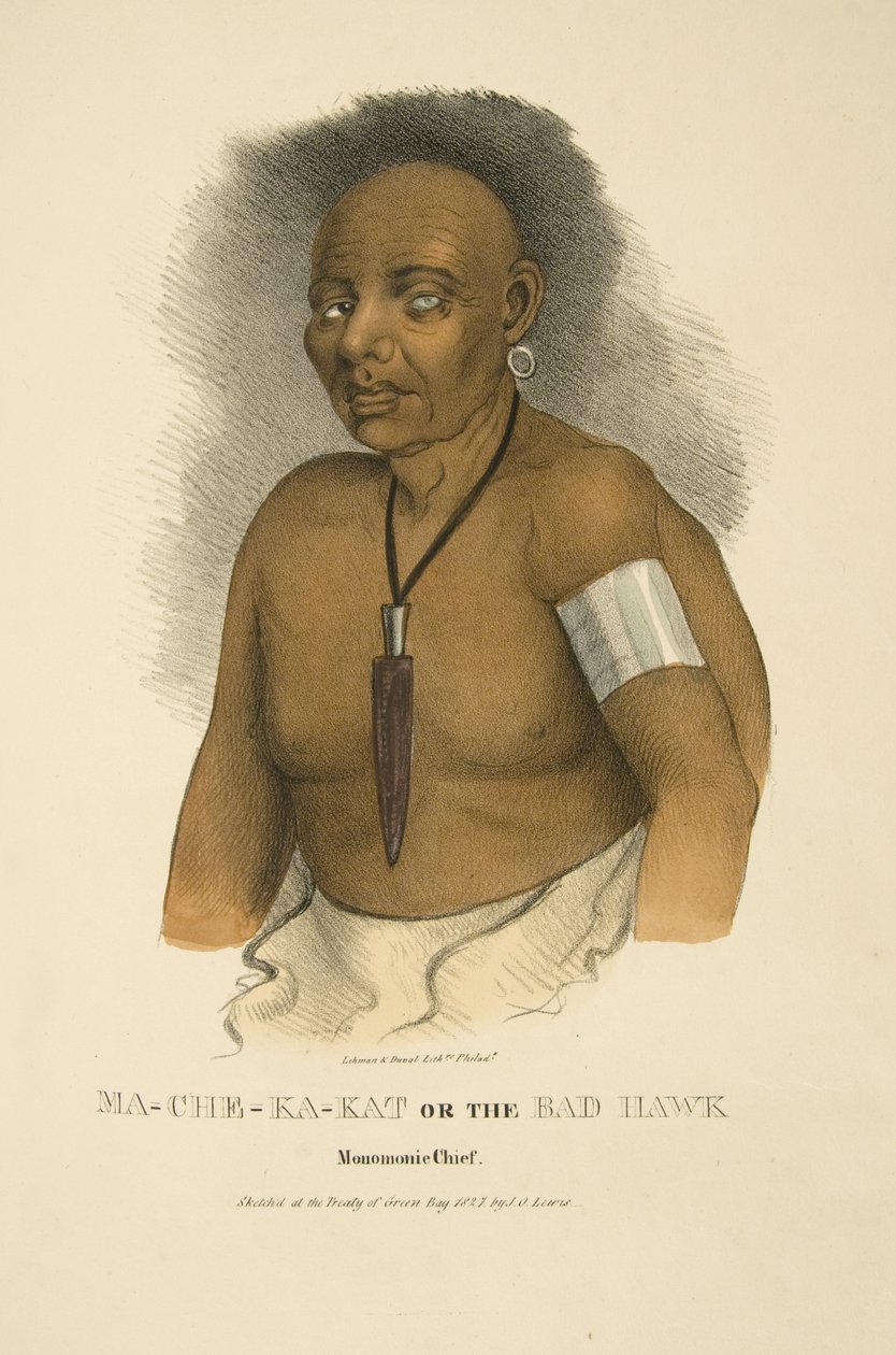 Mama-ch-ka-cut és a rossz sólyom alkotó: James Otto Lewis
