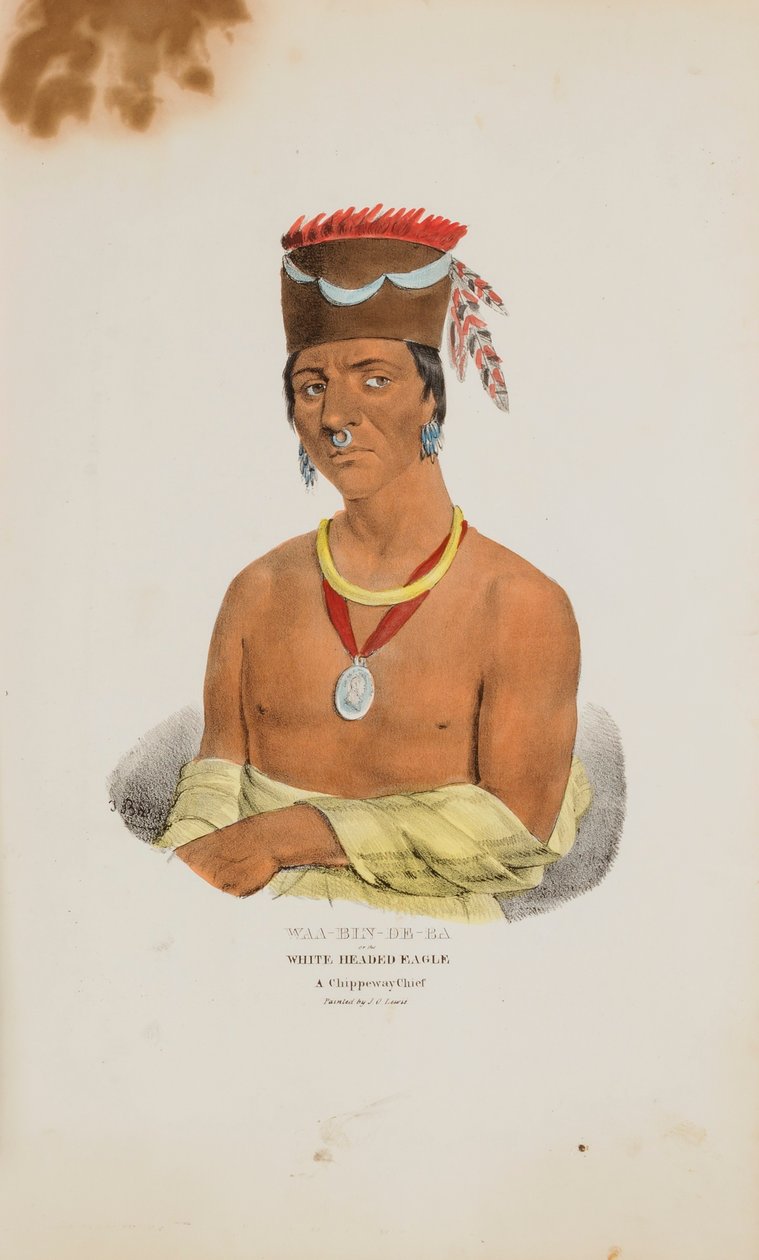 WAA-BIN-DE-BA vagy a Fehérfejű Sas; A Chippeway Chief, az Aboriginal Portfólióból alkotó: James Otto Lewis