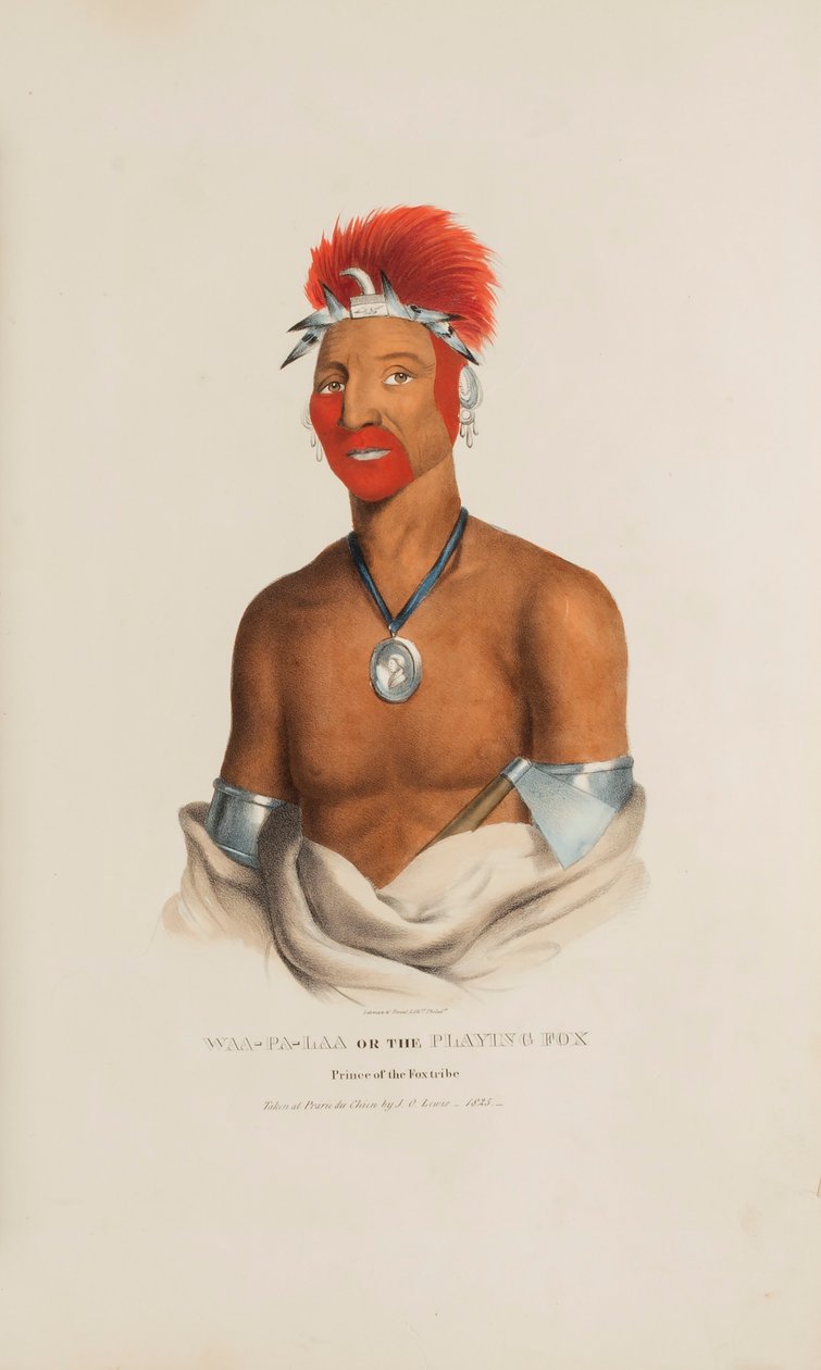 WAA-PA-LAA vagy a Játszó Róka; a Róka Törzs hercege, az Aboriginal Portfólióból alkotó: James Otto Lewis