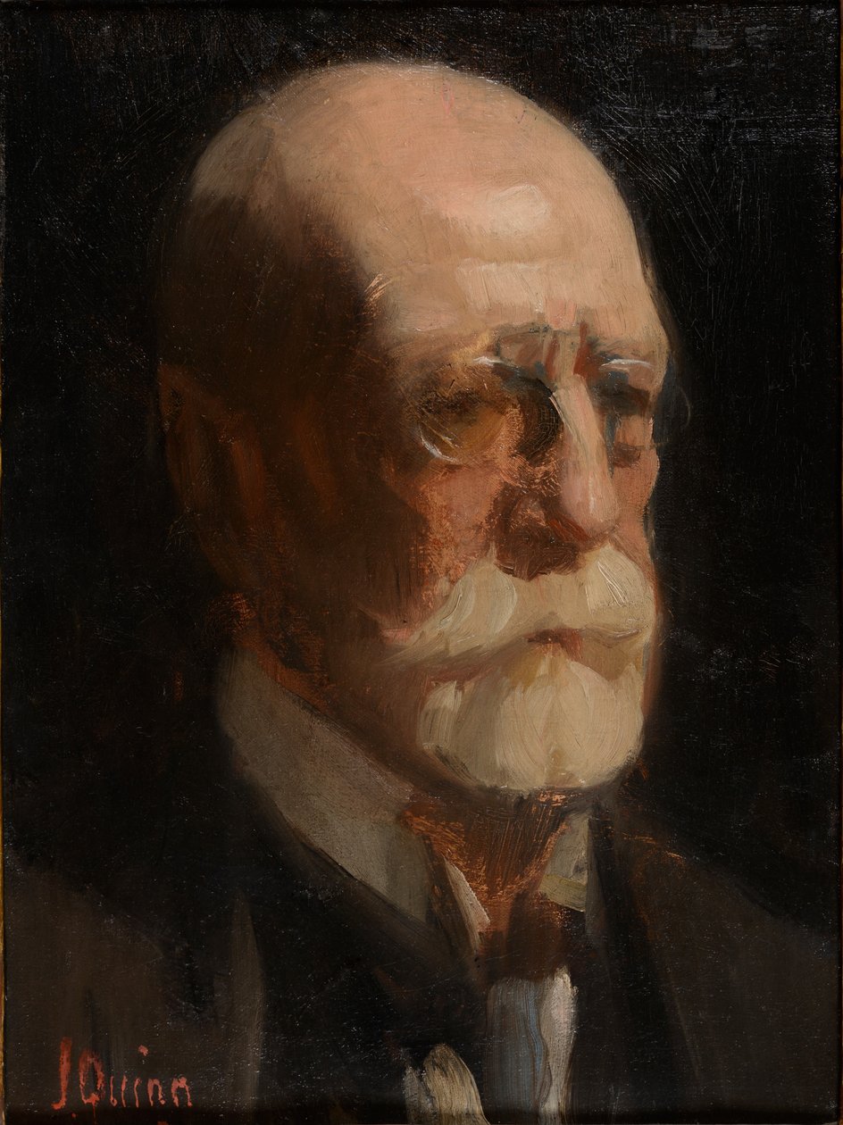 Szakállas férfi portréja (olaj, vászon) alkotó: James Peter Quinn