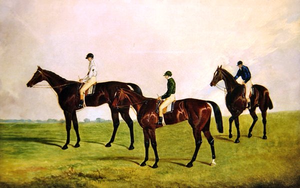 Racehorses Jockeys Up (olaj, vászon) alkotó: James Pollard