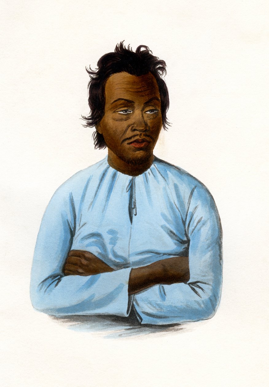 A maláj, 1840. alkotó: James Prichard