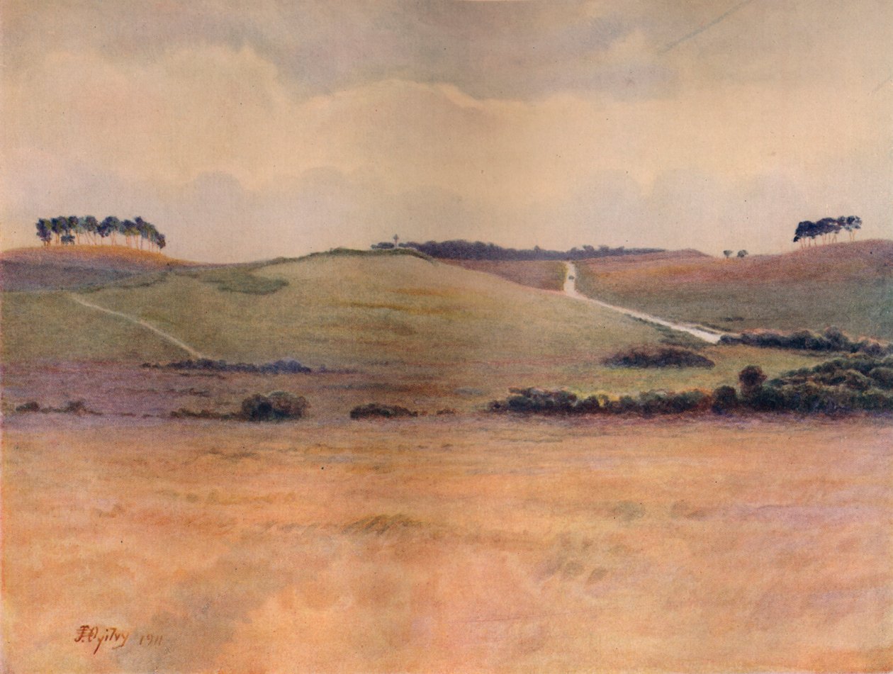 „Chobham Common”, 1911, 1914 alkotó: James S Ogilvy