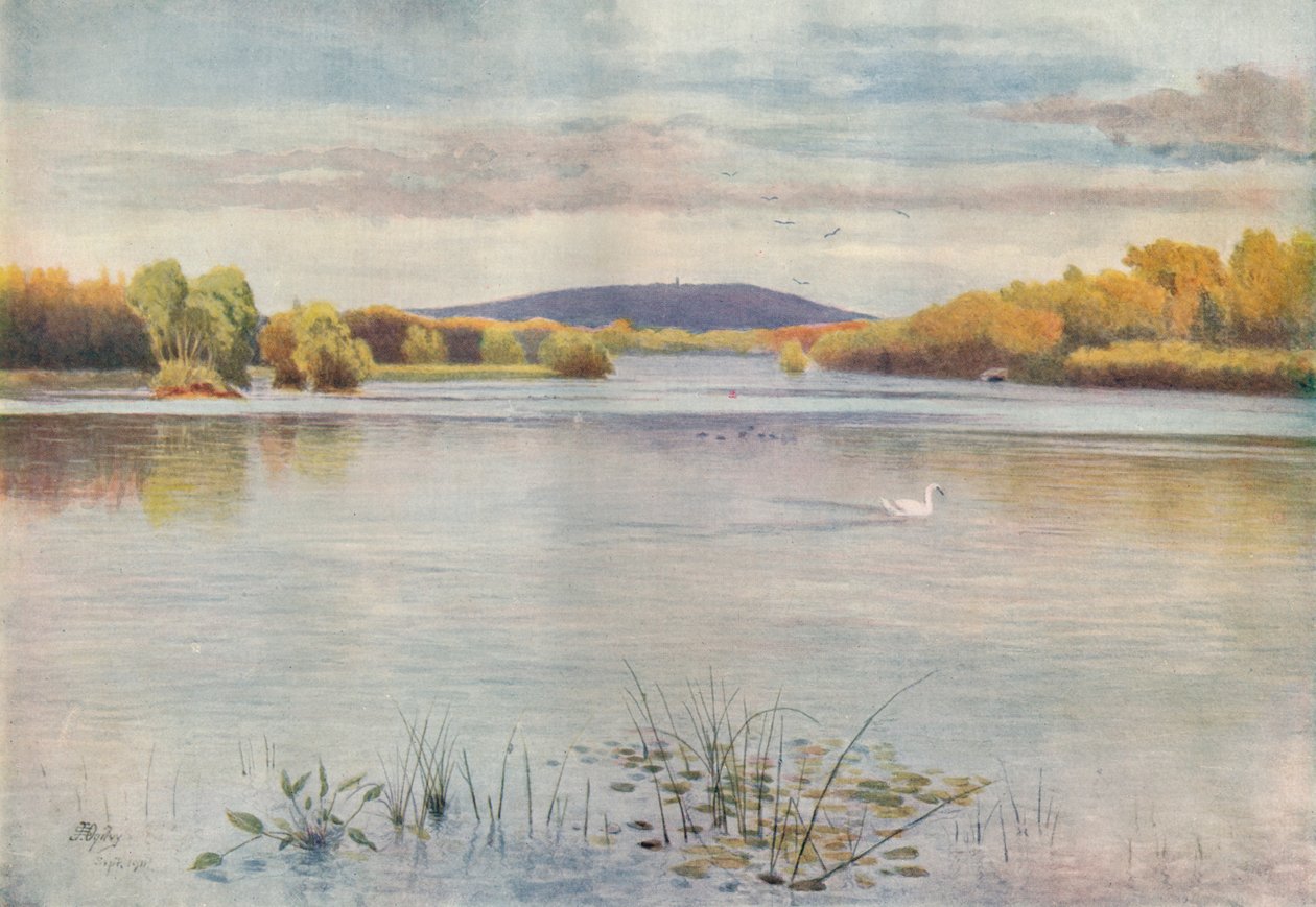 „Vachery-tó”, 1911, 1914 alkotó: James S Ogilvy