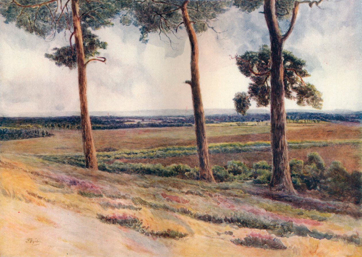 „Kilátás a Staple Hillről”, 1911, 1914 alkotó: James S Ogilvy
