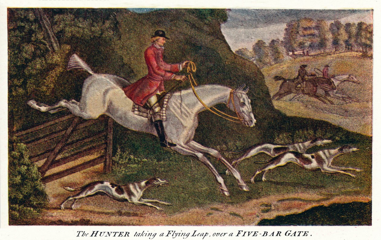 A VADÁSZ repülő ugrást hajt végre egy ötrudas kapun, c1740, 1922 alkotó: James Seymour