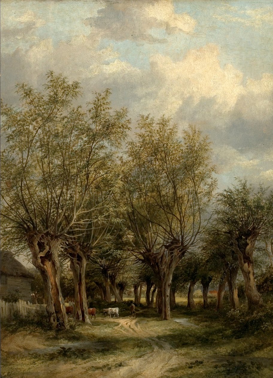 Egy sáv Norwich közelében, Norfolk, 1830 körül alkotó: James Stark