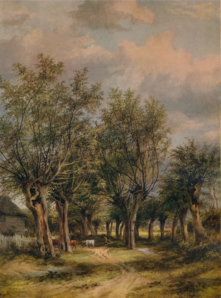 Egy sáv Norwich közelében, 1837 alkotó: James Stark