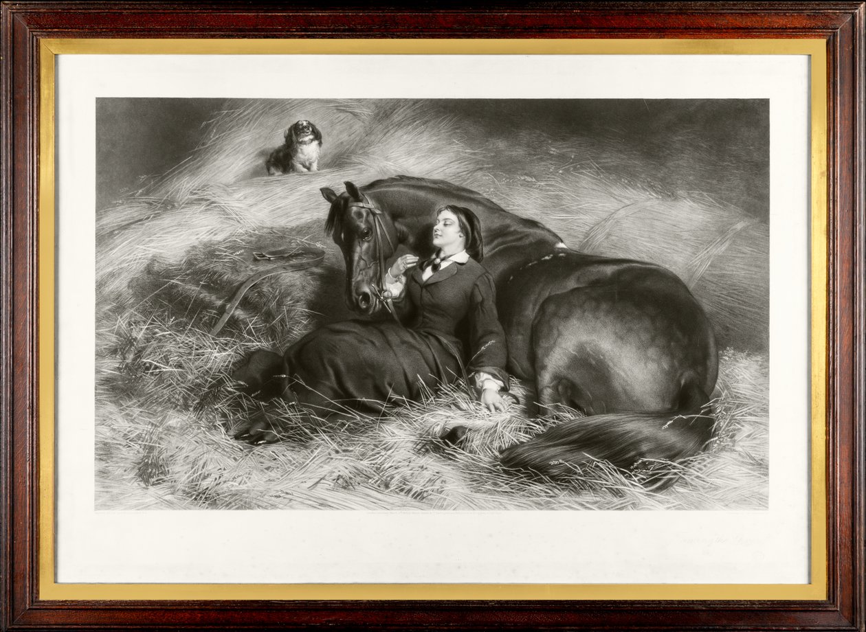 A cickány megszelídítése (a szép lótörőnek is nevezik) (mezzotinta) alkotó: James Stephenson