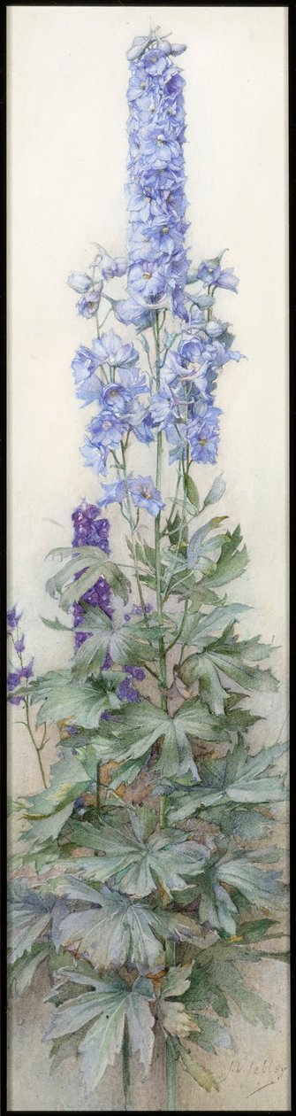 Delphiniumok, 1920 körül alkotó: James Valentine Jelley