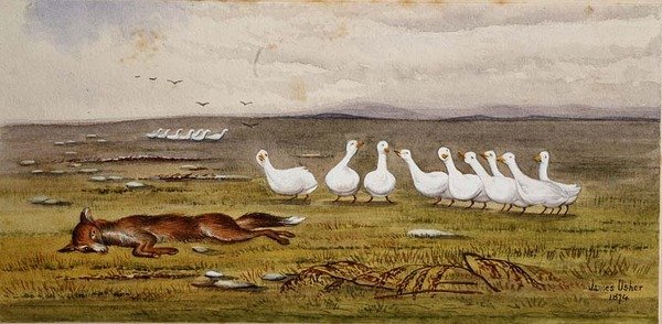 Róka és liba játéka alkotó: James W. Usher