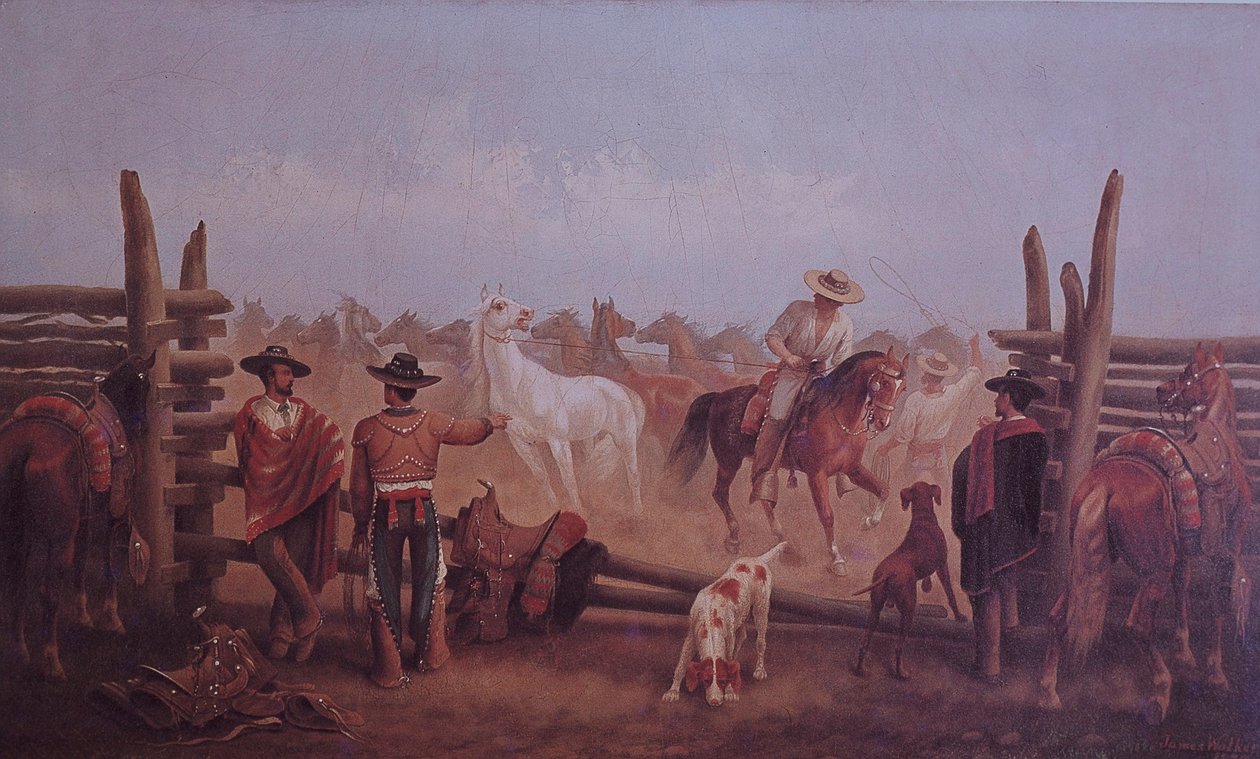 Tejano Ranchers alkotó: James Walker