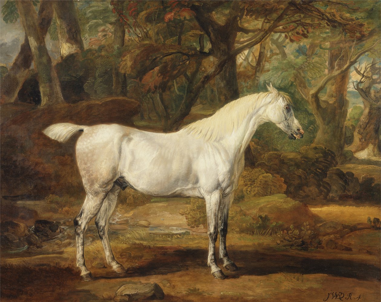 Egy szürke arab mén, Sir Watkin Williams-Wynn tulajdona, 1815-20 körül (olaj, vászon) alkotó: James Ward