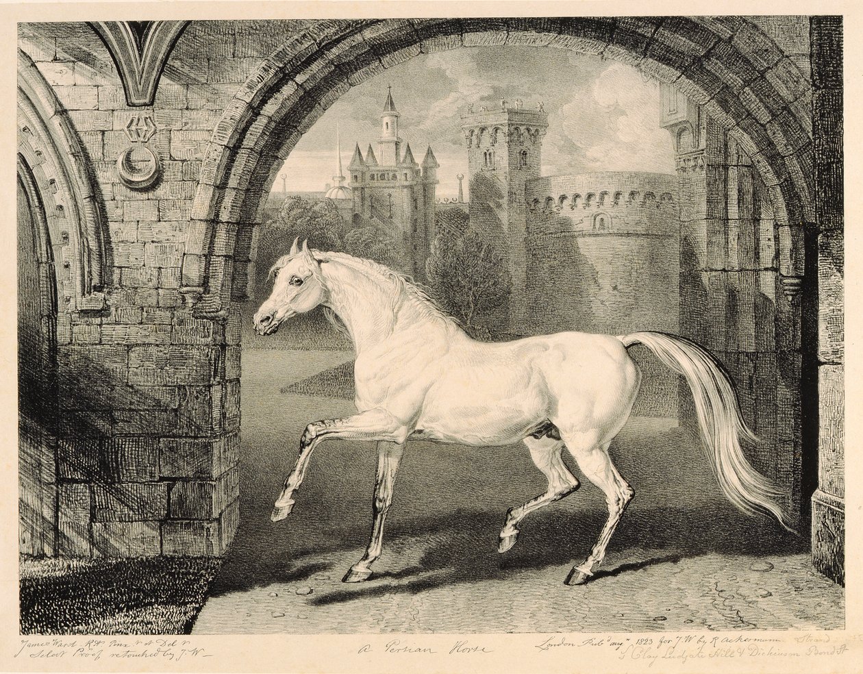 Egy perzsa ló a „Celebrated Horses”-ból, a művész által kiadott tizennégy versenynyomatból álló sorozat, 1823-24 alkotó: James Ward