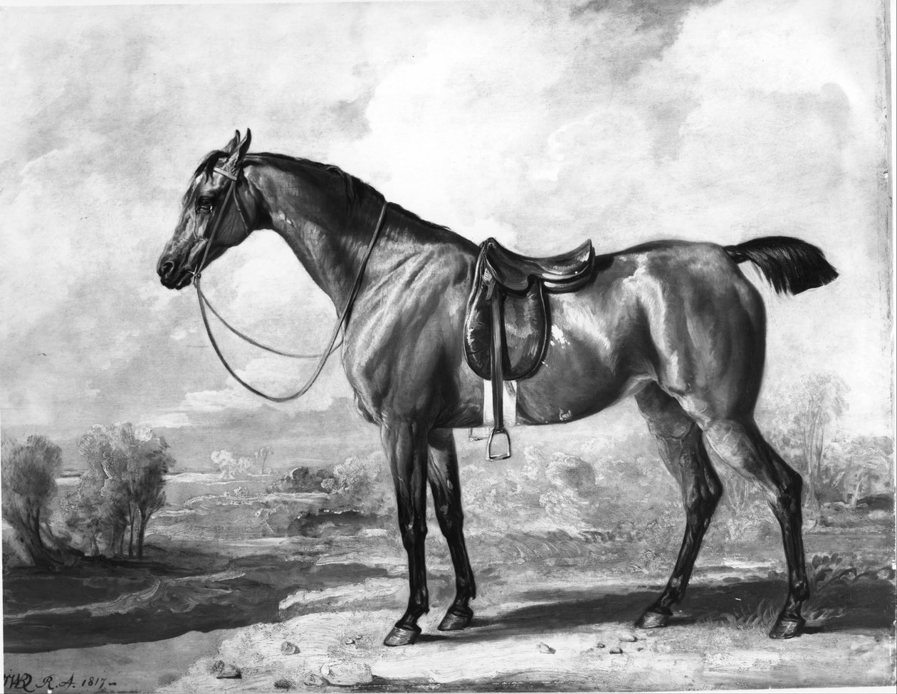Pej vadászló alkotó: James Ward