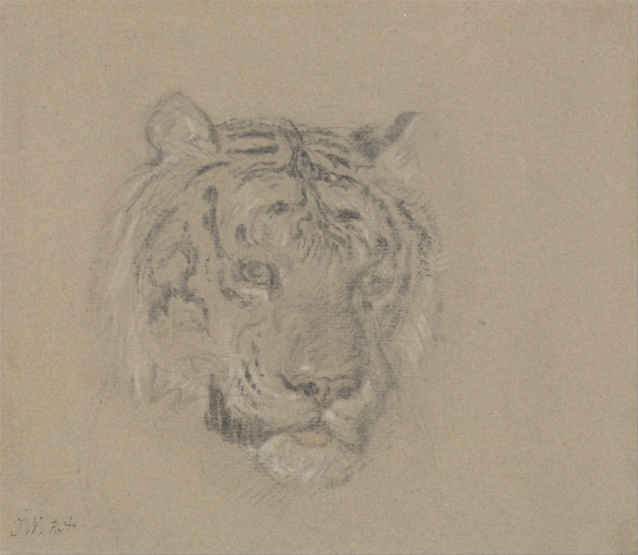 Egy tigris feje alkotó: James Ward