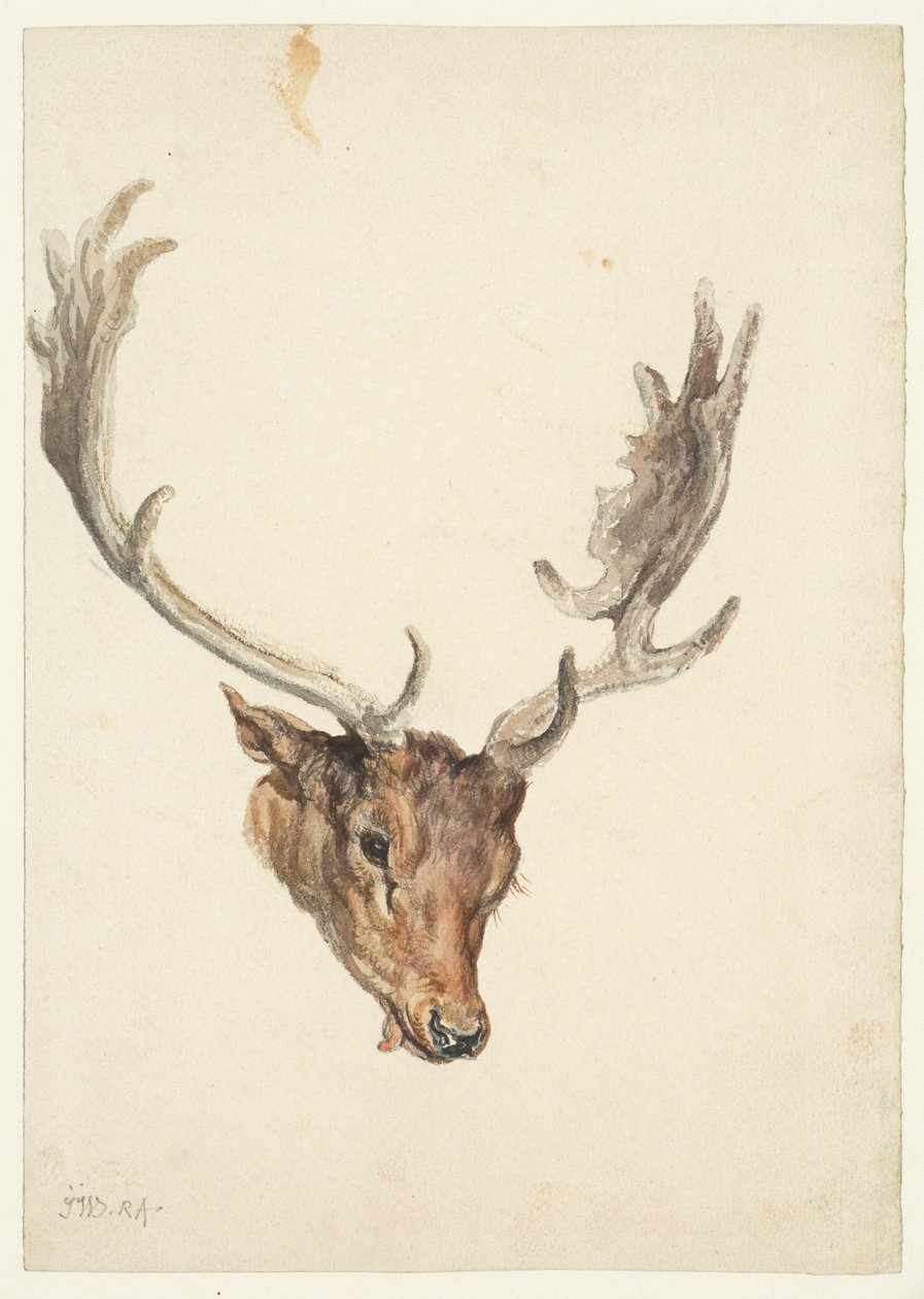 Head of a stag alkotó: James Ward