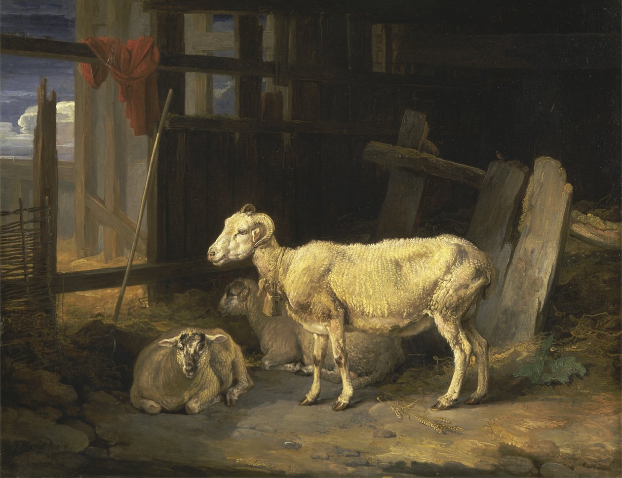 Heath Ewe és bárányok alkotó: James Ward