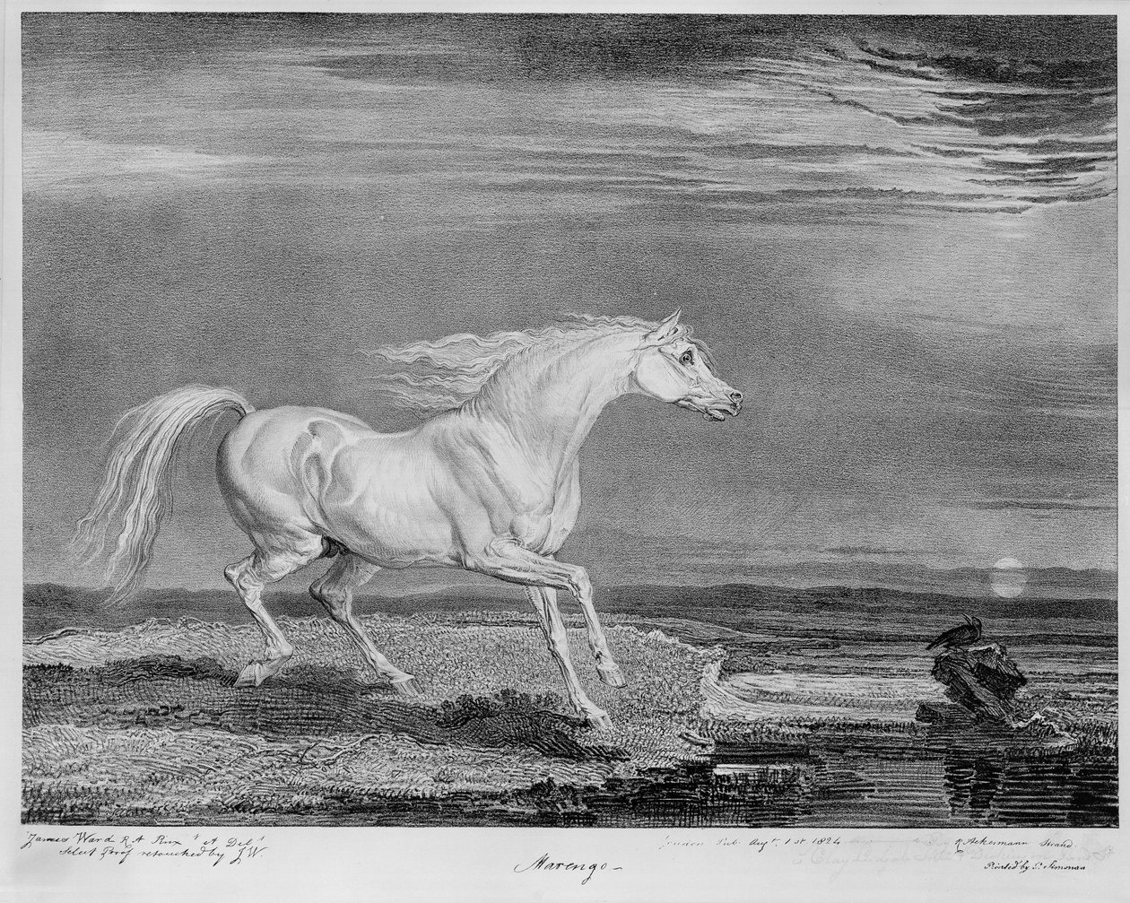 „Marengo”, I. Napóleon kedvenc töltője, 1815 körül alkotó: James Ward