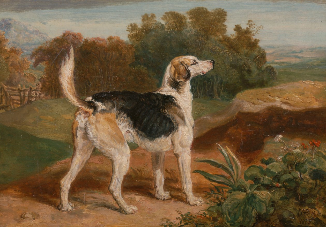 Ravager, a Lambton Hounds egyike alkotó: James Ward