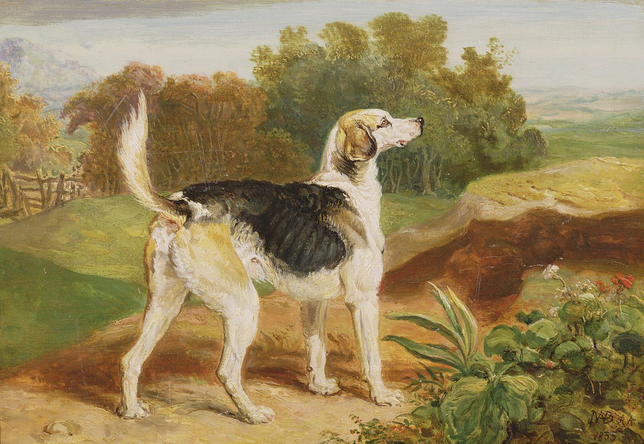 Ravager, az egyik Lambton Hounds (olaj a panelen) alkotó: James Ward