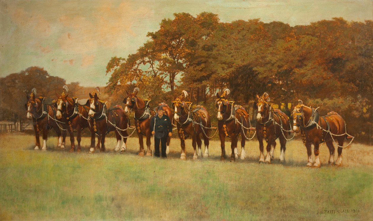 Shire Horses, 1896 alkotó: James Weaver Tattersall