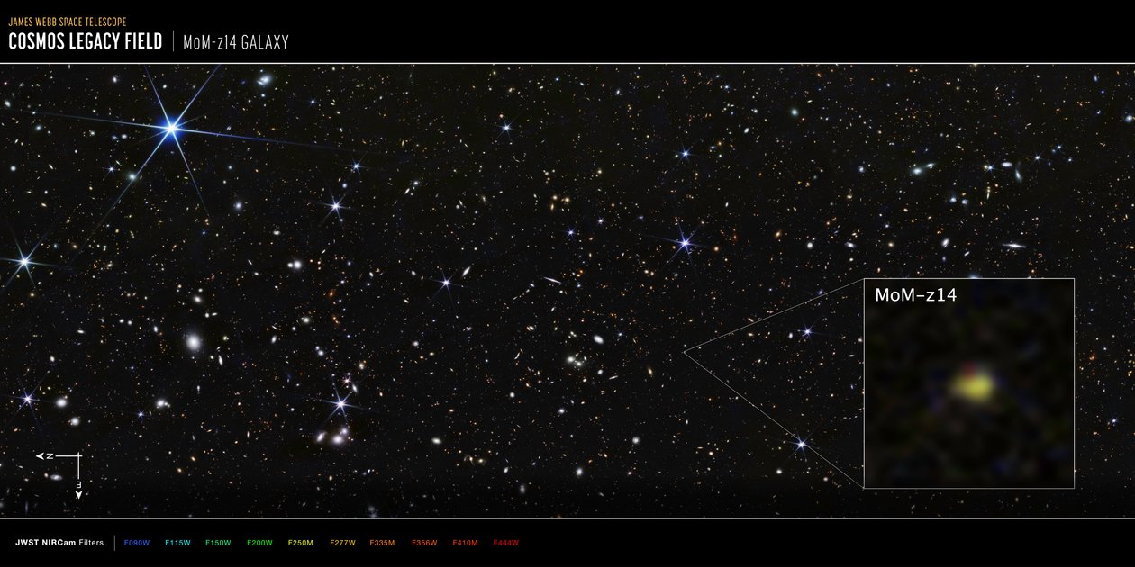 COSMOS-mező, MoM-z14 galaxis (NIRCam-felvétel) alkotó: James Webb Space Telescope (NASA)