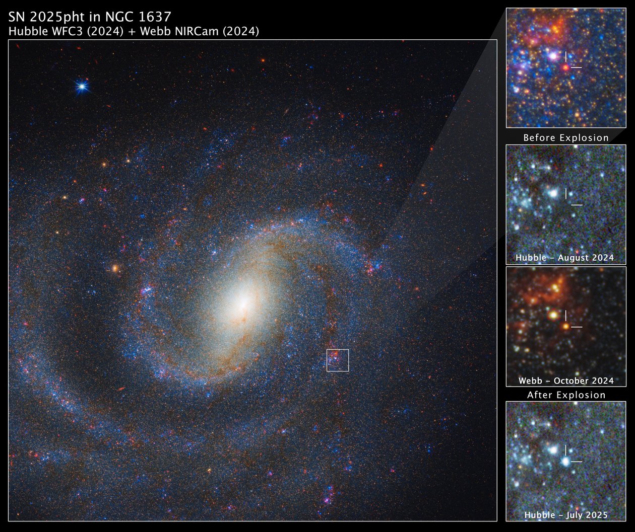 SN 2025pht az NGC 1637-ben alkotó: James Webb Space Telescope (NASA)