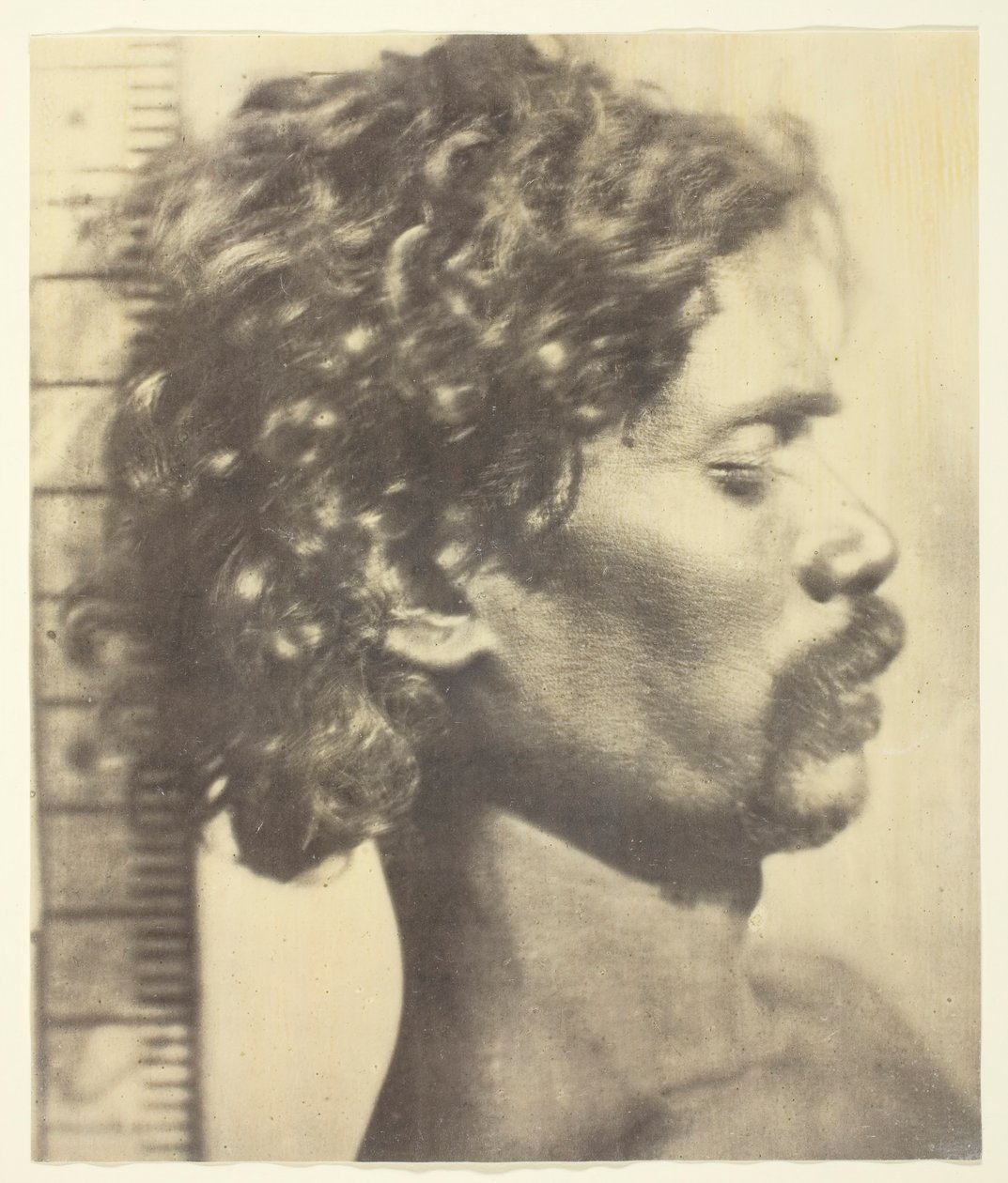 Kuruba ember, 1873. alkotó: James Wilkinson Breeks