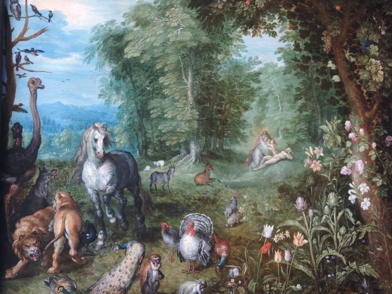 Paradicsom Éva teremtésével alkotó: Jan Brueghel the Younger