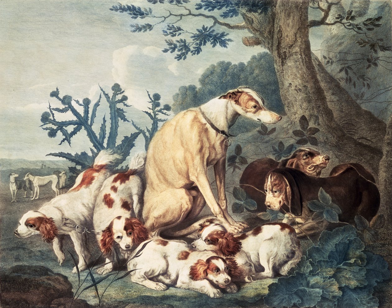 Kutyaportrék, vésette Daniel Lerpiniere (kb.1745-85), kocsma. szerző: John und Josiah Boydell, 1799 (stipple-metszet) alkotó: Jan Fyt