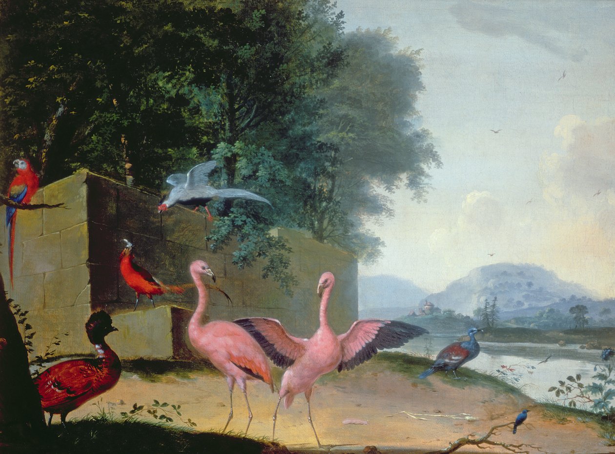 Egzotikus madarak összeállítása, köztük flamingók, papagájok és egy Lady Amherst fácán alkotó: Gerrit van Honthorst