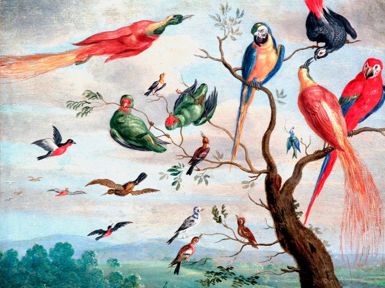 The Chorus of Birds, 1650-1675 körül (olaj, fém) alkotó: Jan Thomasz. van Kessel