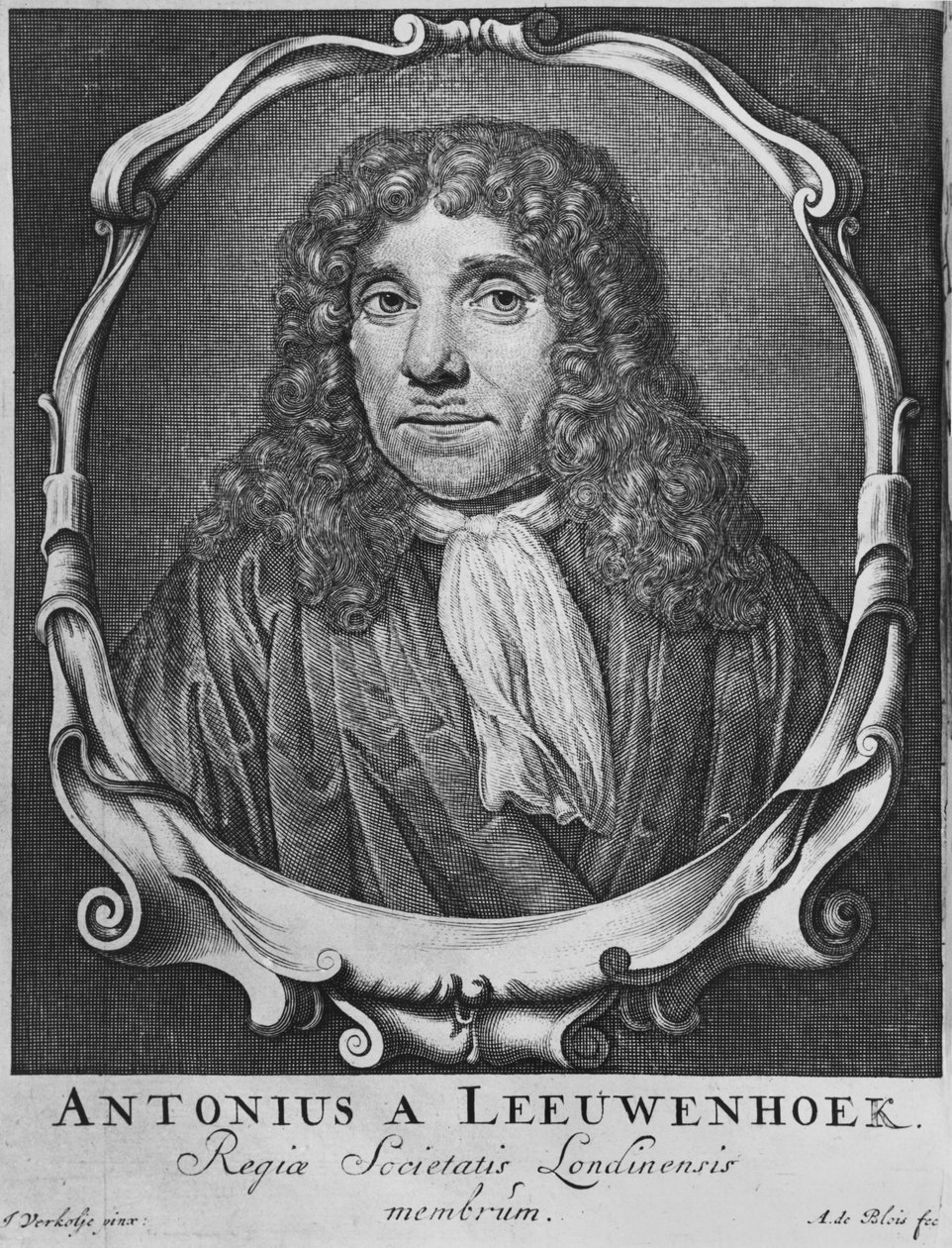 Anton Van Leeuwenhoek portréja, az „Arcania naturae...” illusztrációja, Abraham de Blois (17-18. század) metszete, Leiden, 1722 alkotó: Jan Verkolje