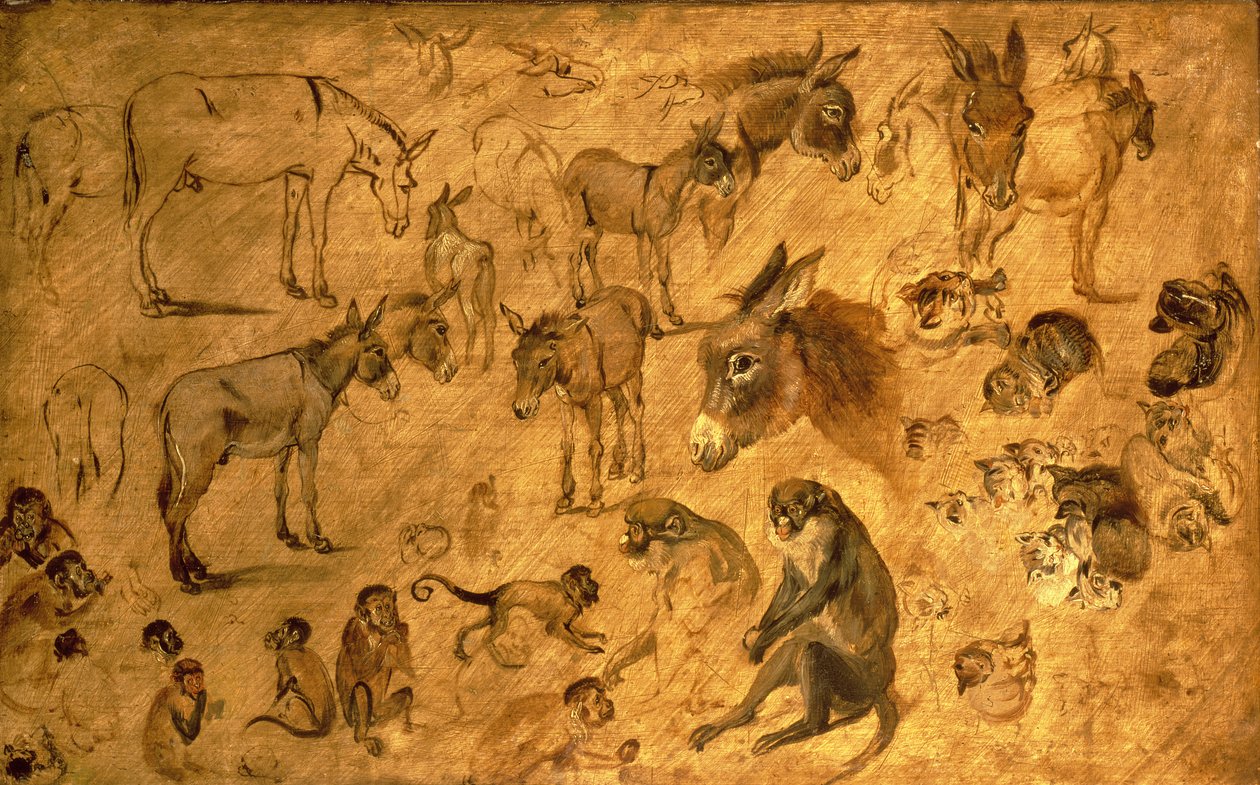 Tanulmány a szamarakról, cicákról és majmokról, 1616 alkotó: Jan the Elder Brueghel