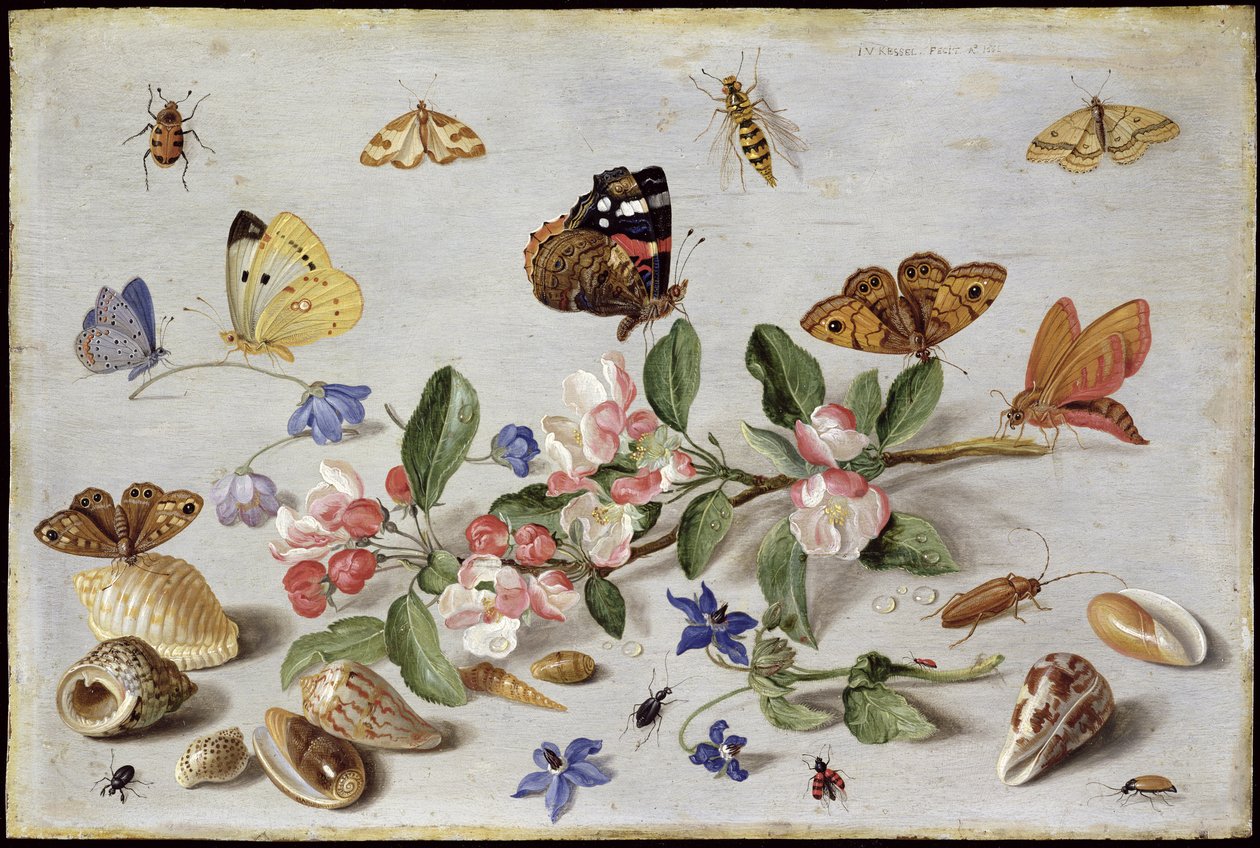 Rovarok (olaj a rézre) alkotó: Jan van Kessel the Elder